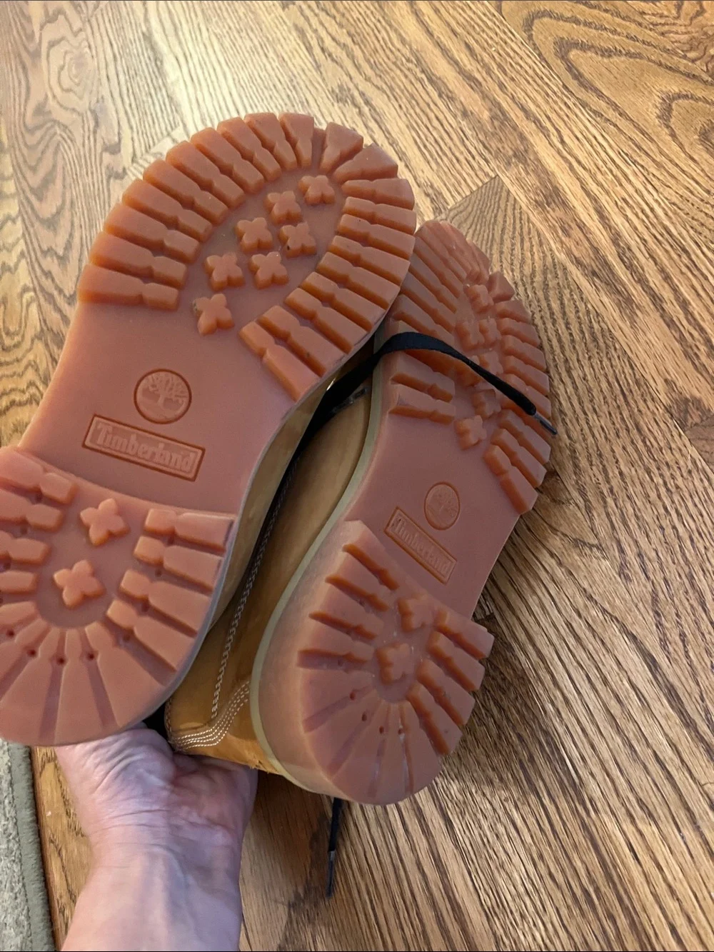 Timberland fair used